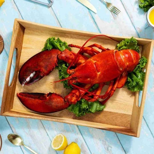 4-lb-6-lb-Live-Canadian-Lobster-595x595-1.jpg